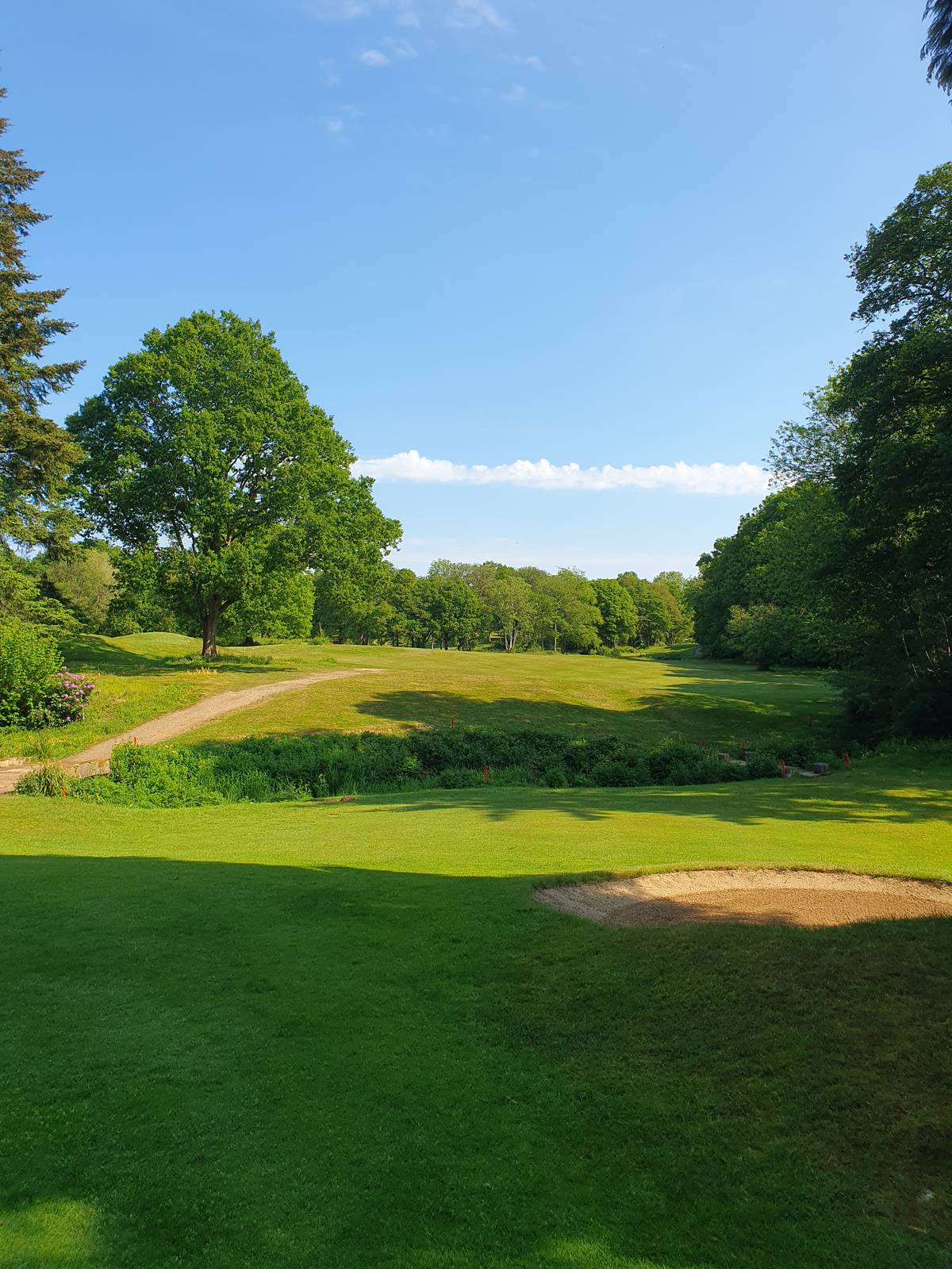 Green landscape with mature trees